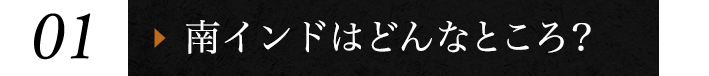 ①南インドはどんなところ？