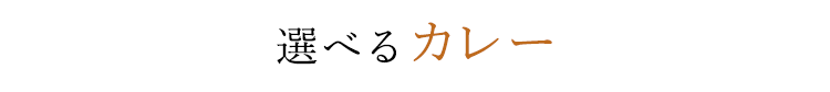 選べるカレー