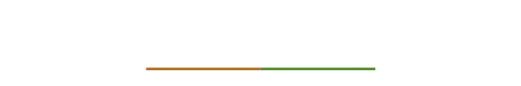 南インド料理について