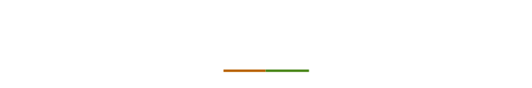 ランチ